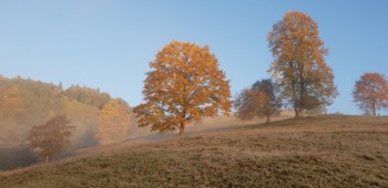 Drumetie montana in Vama (Suceava)