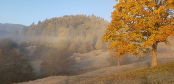 Drumetie montana in Vama (Suceava)