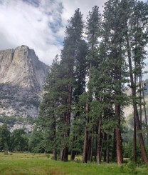 Picnic în Yosemite National Park