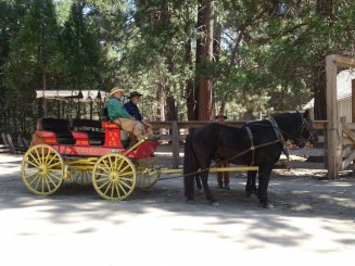 Pioneer Historycal Center