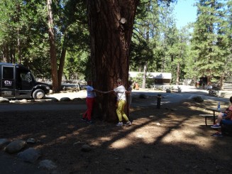 Picnic în Yosemite National Park