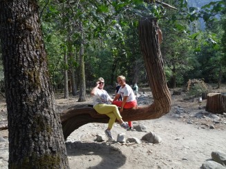 Picnic în Yosemite National Park
