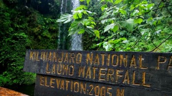 Kilimanjaro - Muntele Sfios