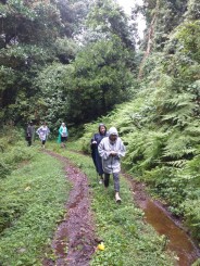 Kilimanjaro - Muntele Sfios