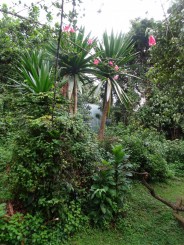 Kilimanjaro - Muntele Sfios