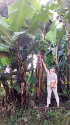 Kilimanjaro - Muntele Sfios