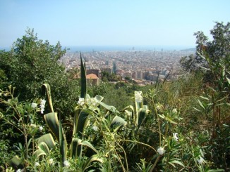 vedere din Parc Guell