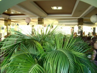 Hotel Kaktus Playa, Calella