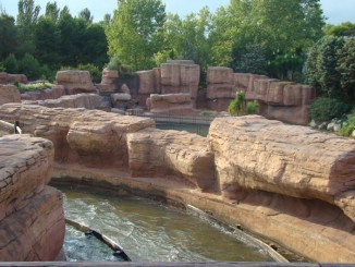 Grand Canyons Rapids