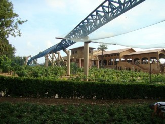 Port Aventura - Furios Baco