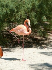 Parcul Ciutadella si Gradina Zoologica din Barcelona