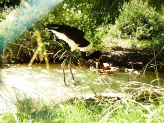 Parcul Ciutadella si Gradina Zoologica din Barcelona