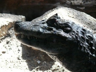 Parcul Ciutadella si Gradina Zoologica din Barcelona