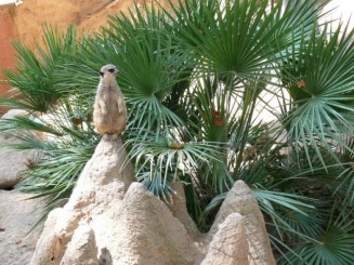 Parcul Ciutadella si Gradina Zoologica din Barcelona