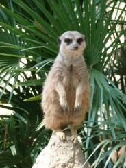 Parcul Ciutadella si Gradina Zoologica din Barcelona