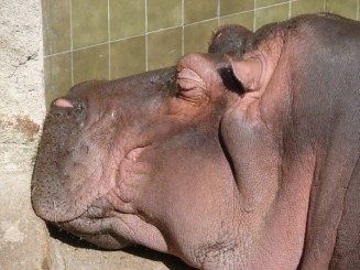 Parcul Ciutadella si Gradina Zoologica din Barcelona