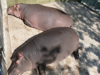 Parcul Ciutadella si Gradina Zoologica din Barcelona