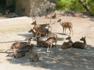 Parcul Ciutadella si Gradina Zoologica din Barcelona