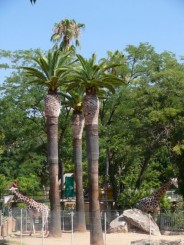 Parcul Ciutadella si Gradina Zoologica din Barcelona