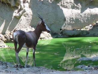Parcul Ciutadella si Gradina Zoologica din Barcelona