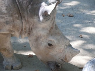 Parcul Ciutadella si Gradina Zoologica din Barcelona
