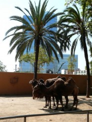 Parcul Ciutadella si Gradina Zoologica din Barcelona