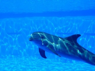 Parcul Ciutadella si Gradina Zoologica din Barcelona
