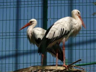 Parcul Ciutadella si Gradina Zoologica din Barcelona