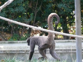 Parcul Ciutadella si Gradina Zoologica din Barcelona