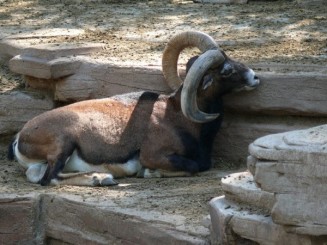 Parcul Ciutadella si Gradina Zoologica din Barcelona