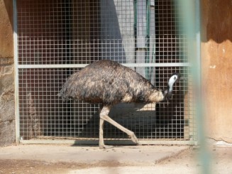 Parcul Ciutadella si Gradina Zoologica din Barcelona