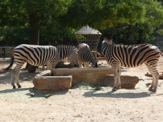Parcul Ciutadella si Gradina Zoologica din Barcelona