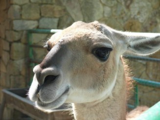 Parcul Ciutadella si Gradina Zoologica din Barcelona