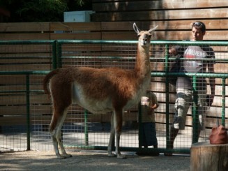 Parcul Ciutadella si Gradina Zoologica din Barcelona