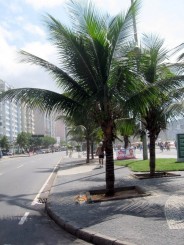 Copacabana
