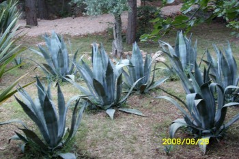 Cres - hotel Kimen, camping Kovacine