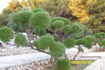 Cres - hotel Kimen, camping Kovacine