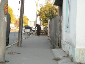 str anghel saligny-focsani