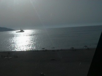 Insula de vis