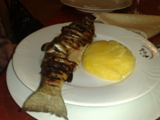 Pastrav la gratar - Pensiunea Poiana Izvoarelor