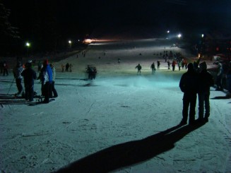 Partia de schi Parc