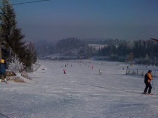 Partia de ski Bradul