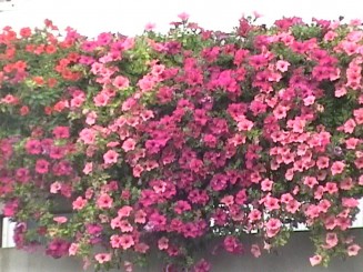 o statiune relaxanta