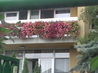 o statiune relaxanta