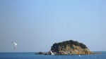 Croaziera pe Marea Egee - Intrecere cu delfinii