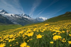 Franta se mentine pe locul intai mondial ca destinatie turistica