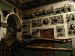 Egipt, Muzeul Agriculturii din Cairo se innoieste