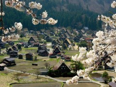 Japonia vrea sa atraga mai multi turisti chinezi