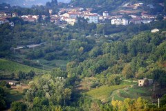 Italia - Metesugurile vechi din San Potito Ultra