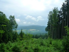 Cehia - Viitorul industriei Turismului va fi unul ecologic